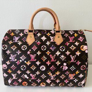 LOUIS VUITTON Watercolor Aquarelle Speedy 35 Handbag Bag
